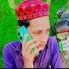 raja.ramzan7996