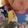 ricardo_the_parrot