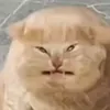 oknmhicc