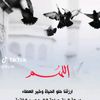 العولقي 917✌🏻