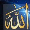 user1211887601006