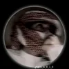 as_.f313