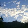 .edwar.mejia