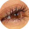 user8880030495116