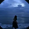 na_nl17