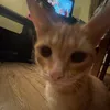 melkaaa50