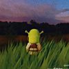 ShrekGoingThroughit