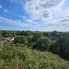 joshsansom_58674