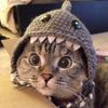 randomboredperson3