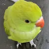 pp6p9