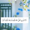 salma.be903