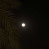 .fatima2823