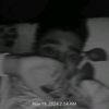 sasafrighet8