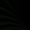 alee._206
