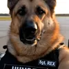 Sgt. REX