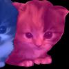 roblox_stories.123456782