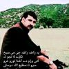 matiwazir8877gmai