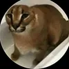 karim_valentino3
