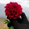 asdftrcxze