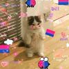 user57421351138142
