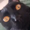 bitxanodev