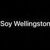 sisoywellin