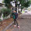 msbriii2
