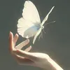 bch.dng24311