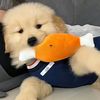 funnydog1129