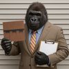 Rilla Roofer