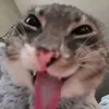 _loverwngto_