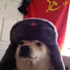 flavory2.0