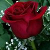 user1381816870165