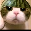 _pingk4