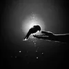 basrawy.basrawy5