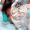 anggita_giee_29