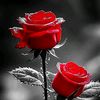 najma.nooc8