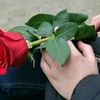 mywishhh4