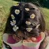 aysha.murad55