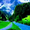 user8107533003207