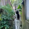 hotrovaylaisuatthap1