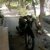 panggilajahafiz12