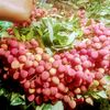 mdhabin555