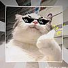 ayub_ver3