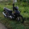 mx_carrinex