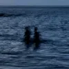 h_100313