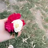roz07778