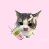 uwong_c
