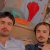 pirnavid6