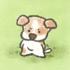 iamm_.qanh